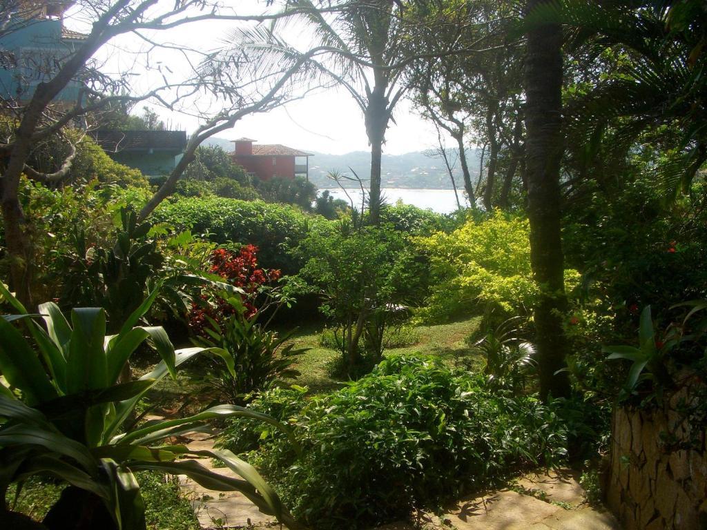 Anfiteatro Tropical *