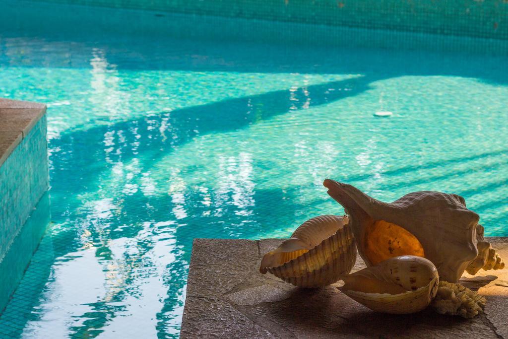 Anfiteatro Tropical Homestay Armacao dos Buzios